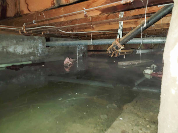Best Water damage restoration process  in Lakeport, TX