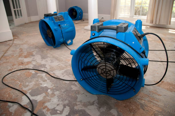 Best Residential water damage restoration  in Lakeport, TX