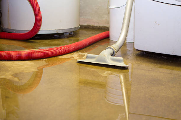 Best Local water damage restoration  in Lakeport, TX