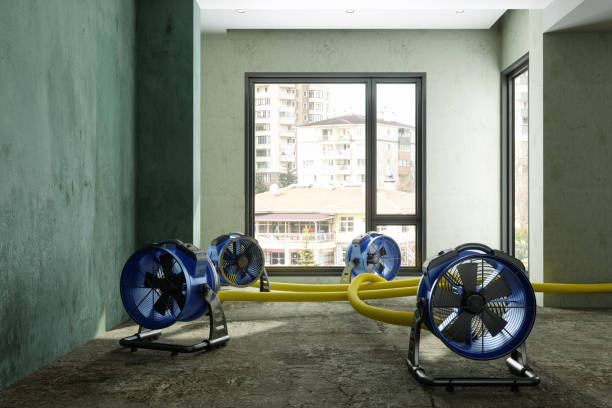 Best Water damage restoration mold remediation  in Lakeport, TX